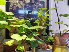 -鱼醉无骨鱼·中山脆肉鲩(荔湾路店)