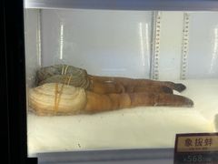 -协成海鲜火锅(情侣路店)