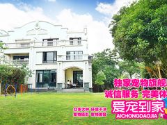 -翊宠yipet猫狗购宠庄园犬舍•猫舍