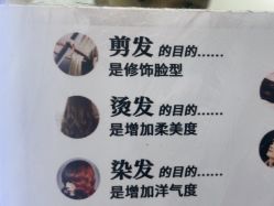 -GT潮朴美业