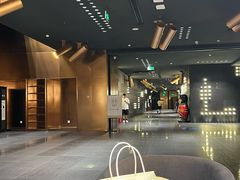 -金逸影城(宝安大仟里IMAX激光店)