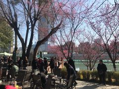 -望江楼公园