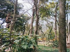 -阿育王寺