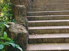 -火炉山森林公园