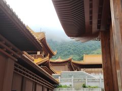 -深圳仙湖植物园
