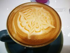 -飞行喵MR PILOT|猫舍·猫咖(静安大融城店)