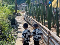 -MOJ coffee(瓯海泽雅水碓坑店)