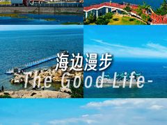 -养马岛旅游度假区
