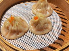 -点都德·毕德寮