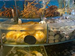 -岳各庄批发市场(西四环中路店)