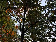 -春晖园度假酒店温泉