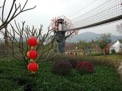 -天适樱花悠乐园