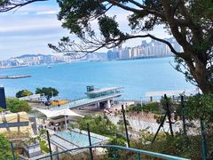 -讯号山花园