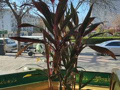 -马布尔莱斯食府(西红门店)