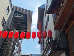 -不倒翁·安徽名菜楼(步行街店)
