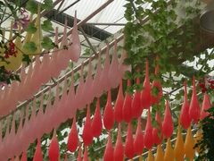 -广州花之恋城堡酒店