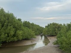 -崖口红树林海鲜餐厅