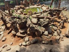 -云南野生动物园