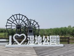 -宁波杭州湾国家湿地公园