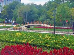 -黑龙江中医药大学