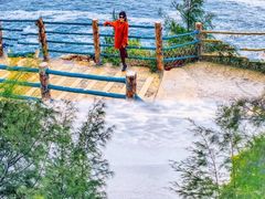 -广东惠东海龟国家级自然保护区