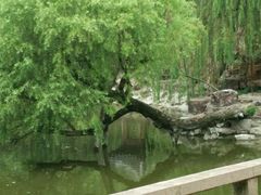 -水绘园