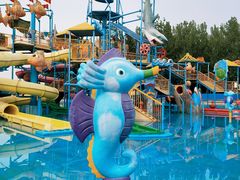 -海盗传奇水世界