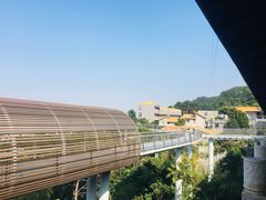 -仙岳公园
