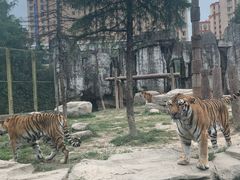 -上海野生动物园