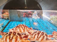 -聚福宝合苑食府(南头镇店)