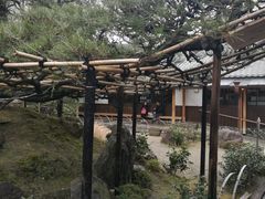 -中村藤吉(本店)