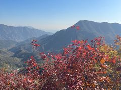 -大岭沟猕猴桃谷风景区