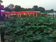 -小王府(什刹海店)