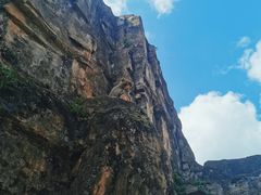 -海南热带野生动植物园