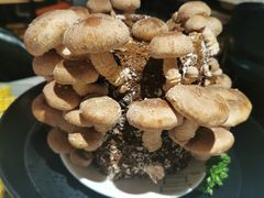 -煲宫猪肚鸡(晶品店)