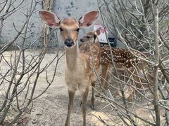 -野鸭湖国家湿地公园