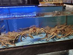 -阿伟海鲜楼·福建菜(延寿店)