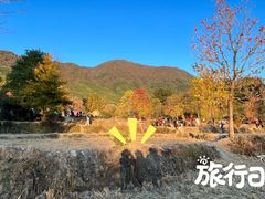 -塔川景区