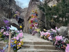 -秦岭终南山世界地质公园翠华山景区