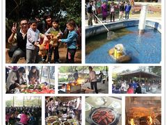 -松山湖南湖湾露营营地