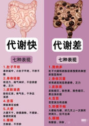 -Fundi张玉珊修身堂·indiba·BTL科技瘦身