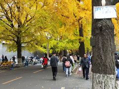 -四川大学(华西校区)