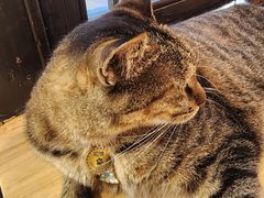 -猫的天空之城概念书店(杭州南宋御街店)