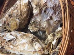 -蚝堡海鲜·威海菜·海肠捞饭·烧烤·亚洲吃蚝公司(幸福门店)