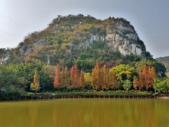 -星湖旅游景区七星岩