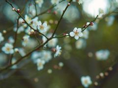 -梁鸿国家湿地公园