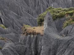 -墨石公园景区