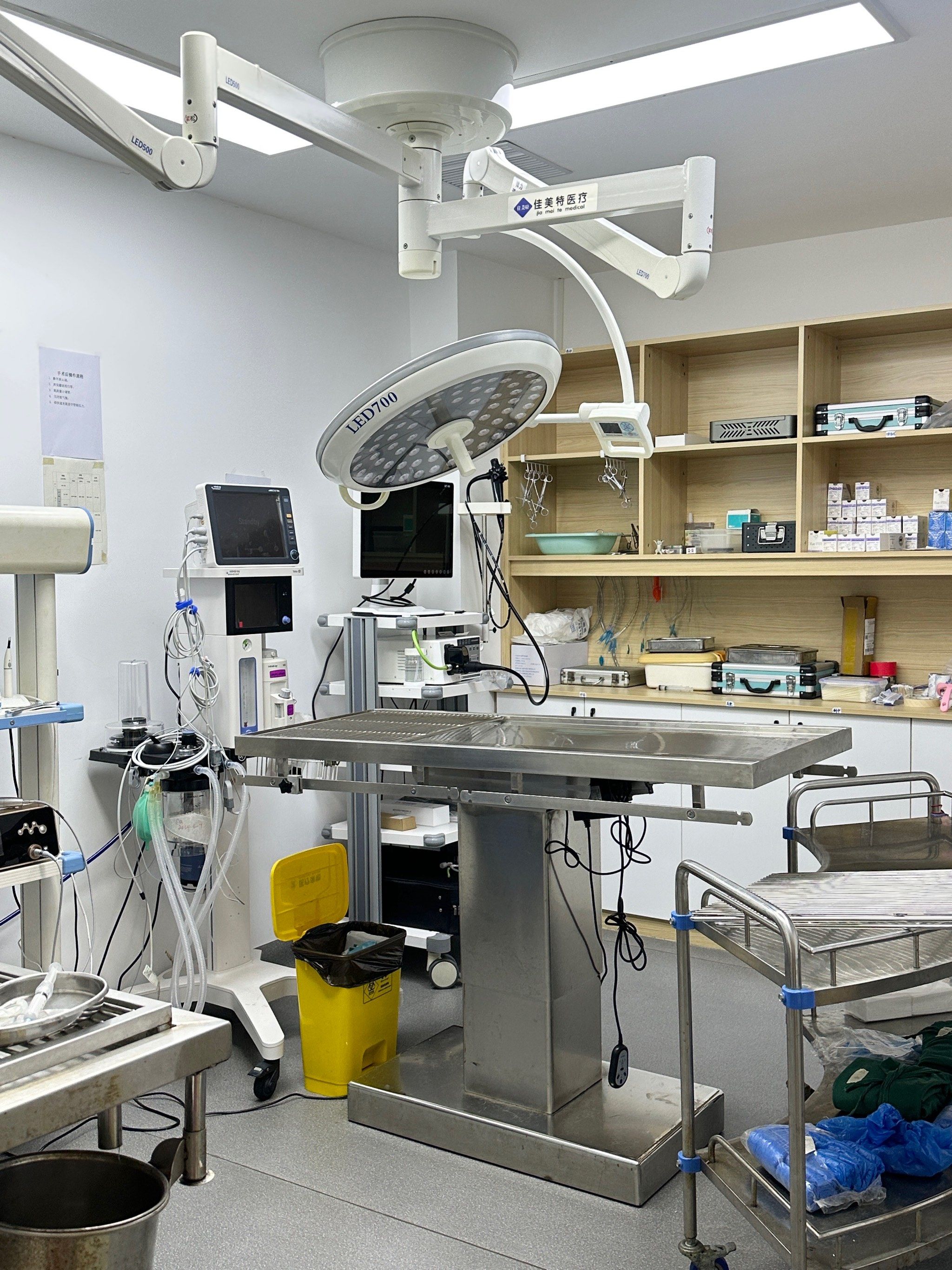 泉州宠物医院

整体风格都是偏暖色系
9615住院是么,护理室