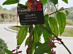 -华南国家植物园-售票处