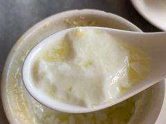 姜汁双皮奶-沙湾姜撞奶甜品店(昌岗中路店)